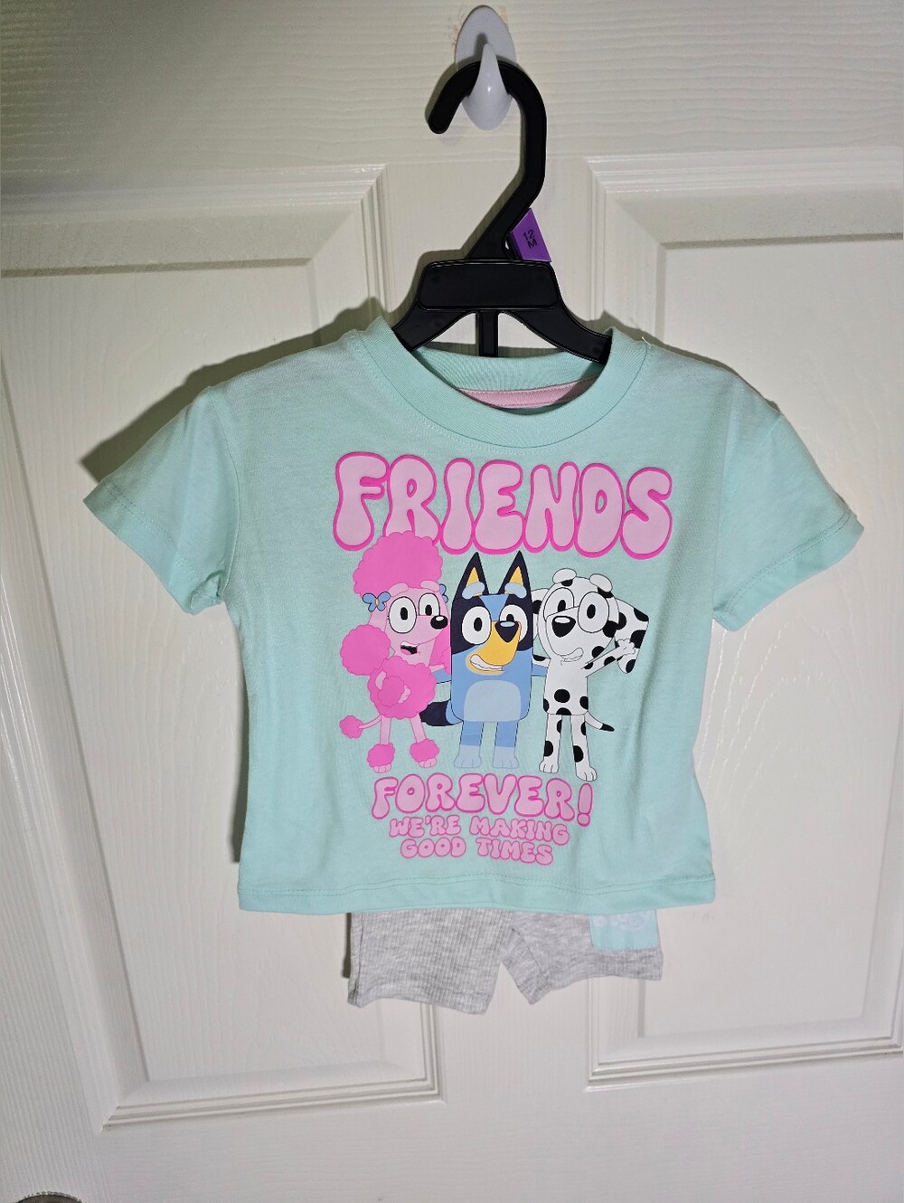NWT Bluey Baby Girl Short Sleeve and Shorts 2 Piece Set 12M